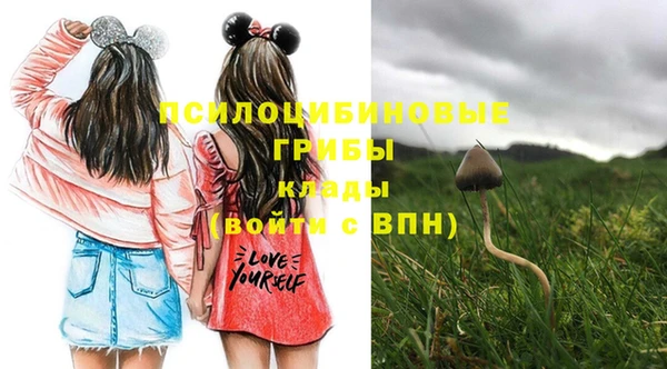 шишки Абинск