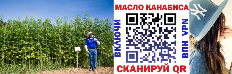 блэк спрут tor  Богданович  Дистиллят ТГК Wax 