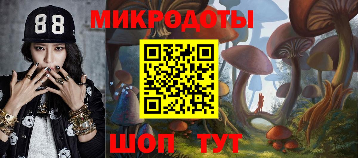 Галлюциногенные грибы Psilocybine cubensis Богданович