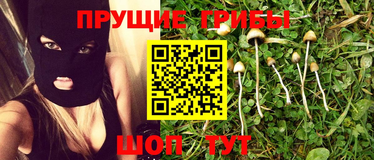 Богданович  Псилоцибиновые грибы мицелий  Галлюциногенные грибы прущие грибы  наркота  Вход с VPN 